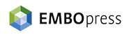logo_embo